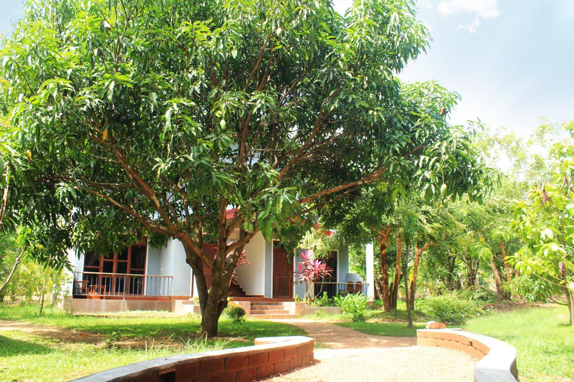 Green Hut Hotel&Restaurant. Sigiriya Buitenkant foto