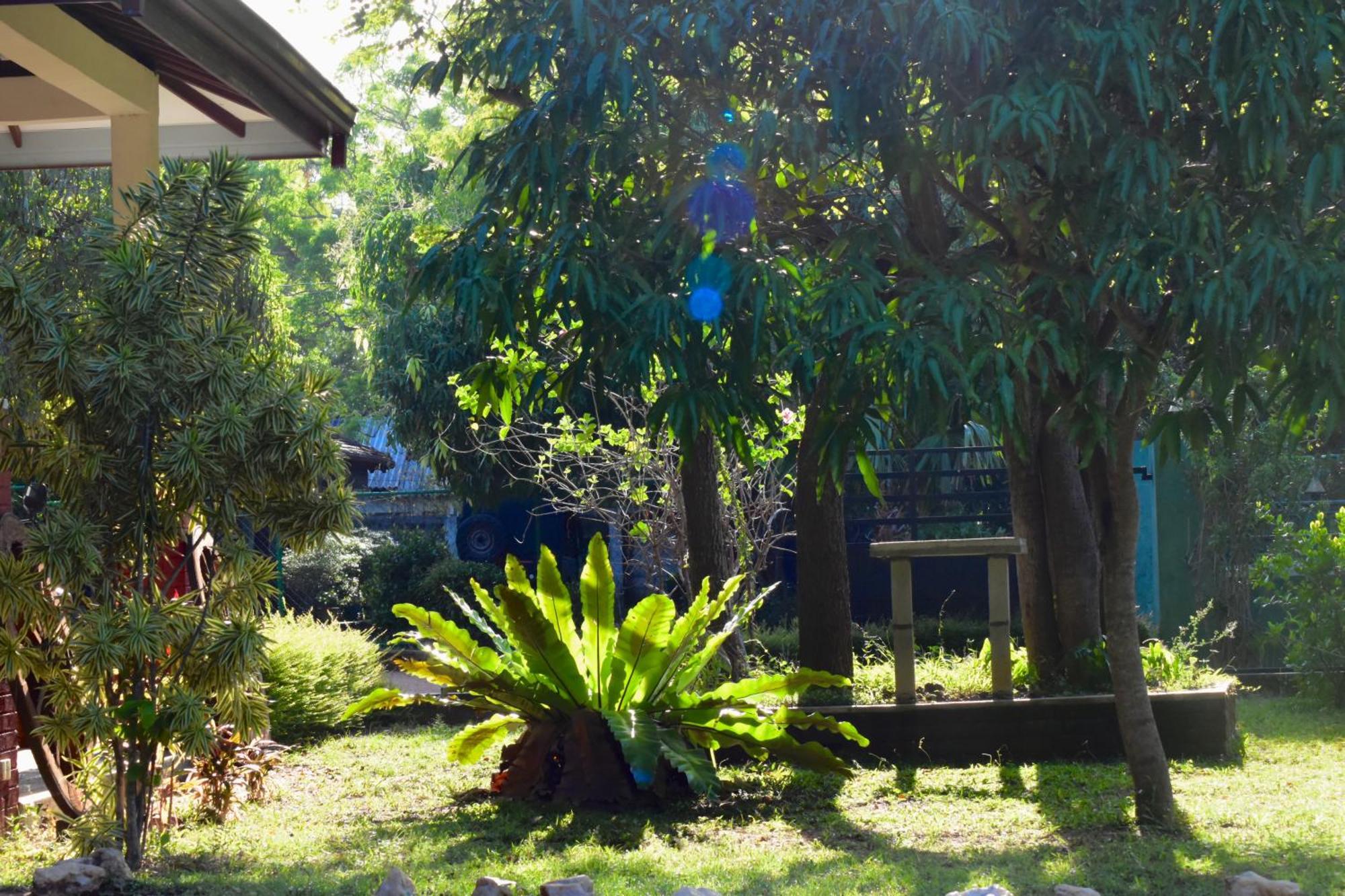 Green Hut Hotel&Restaurant. Sigiriya Buitenkant foto